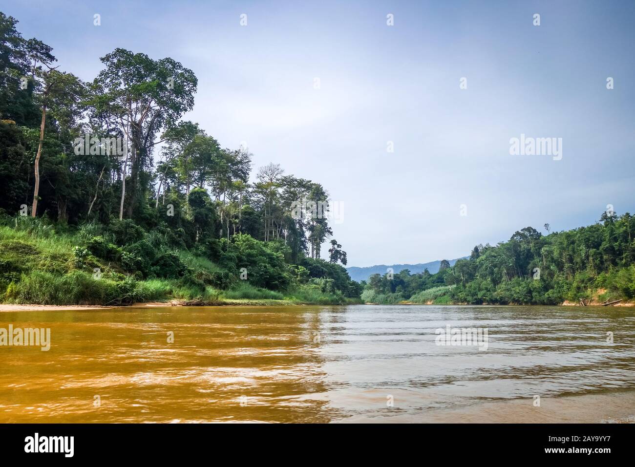 Fiume e giungla nel parco nazionale di Taman Negara, Malesia Foto Stock