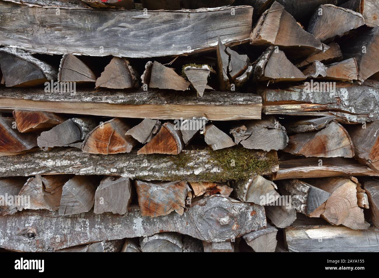 pali di legno, pali, Foto Stock