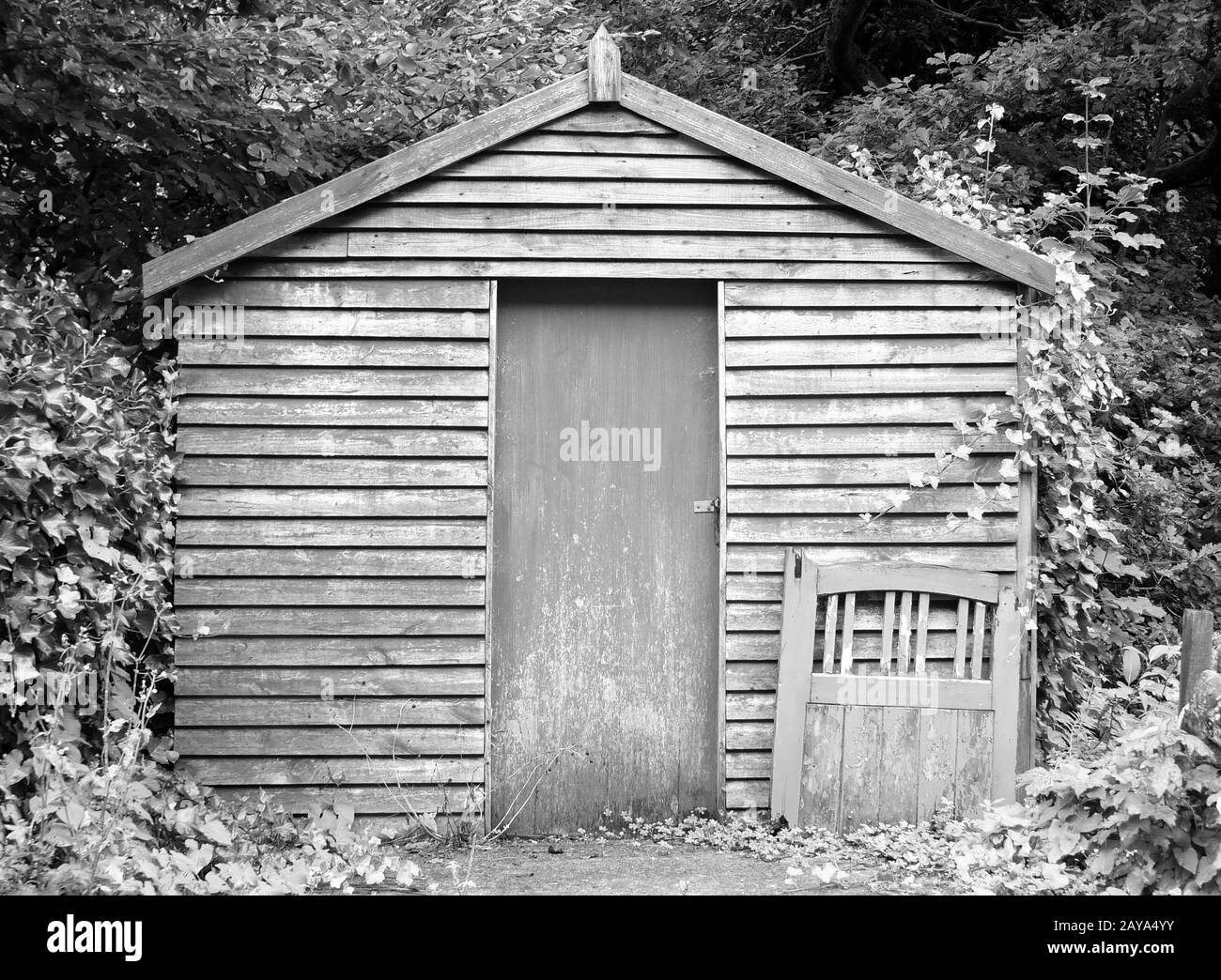 immagine monocromatica di una vecchia capanna di legno con un cancello scartato circondato da alberi di bosco Foto Stock