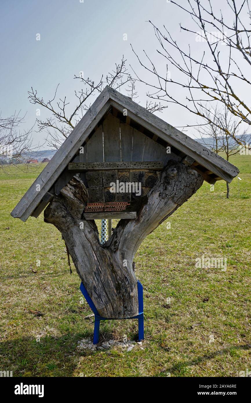 aiuto di nidificazione di insetto Foto Stock