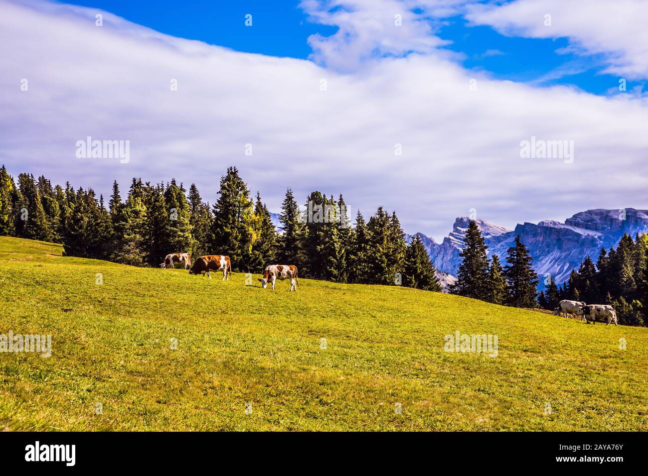 Le Dolomiti - Patrimonio Naturale Foto Stock