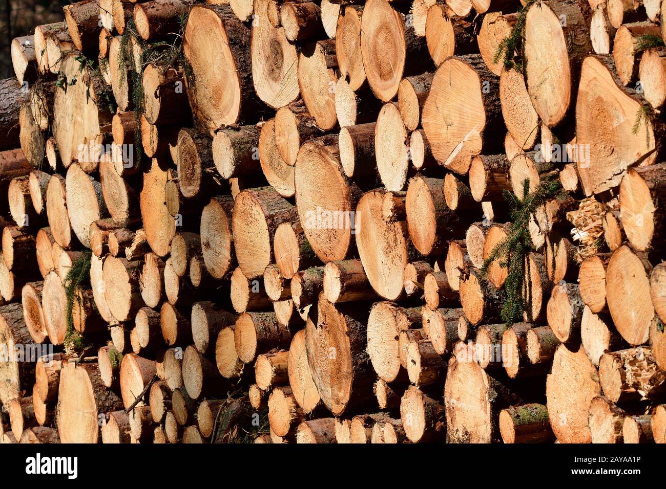 Poggio Dell'Aquila Rosso Di Montalcino España - Foto 9