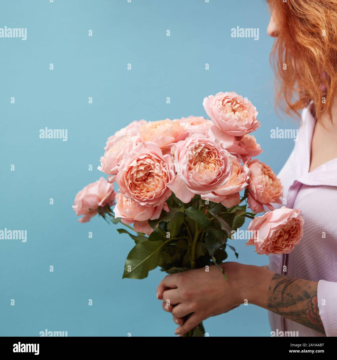 Dolce rose rosa nelle mani di una ragazza con un tatuaggio su uno sfondo blu con copia spazio per il testo. Regalo di compleanno Foto Stock