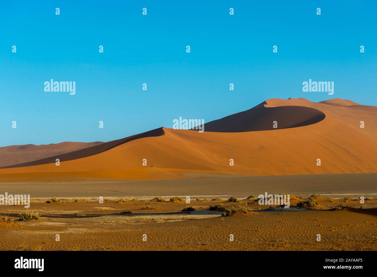 Vista della Daddy duna alta 325 metri, la più alta duna della zona di Sossusvlei, il Parco Nazionale Namib-Naukluft in Namibia. Foto Stock