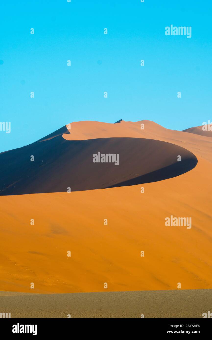 Vista della Daddy duna alta 325 metri, la più alta duna della zona di Sossusvlei, il Parco Nazionale Namib-Naukluft in Namibia. Foto Stock