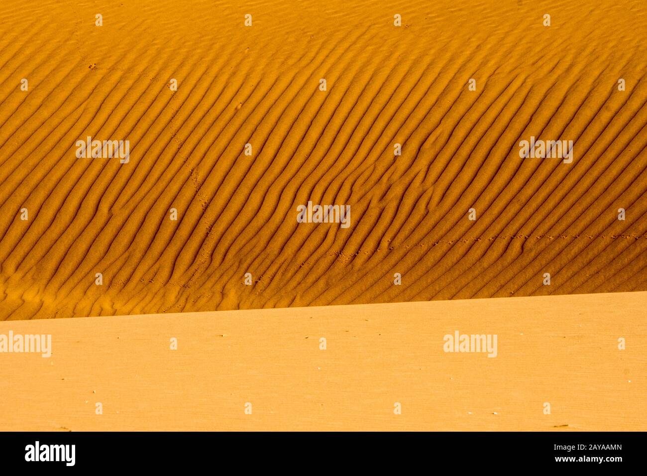 Dettaglio delle increspature nella sabbia rosa di una duna di sabbia nella zona di Sossusvlei, Parco Nazionale Namib-Naukluft in Namibia. Foto Stock