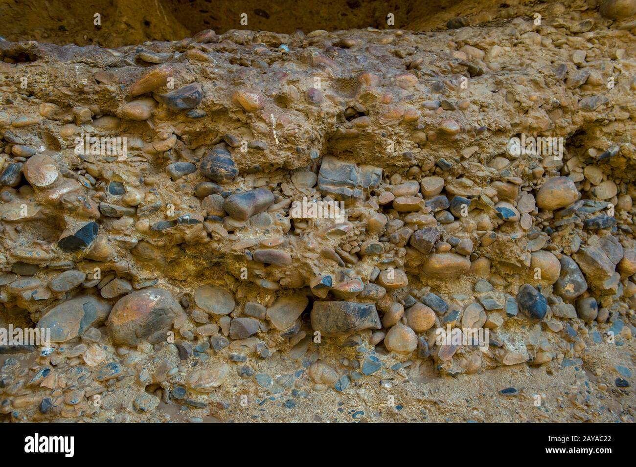 Dettaglio della parete del Sesriem Canyon, un canyon modellato nel corso di milioni di anni dal fiume Tsauchab nella zona di Sossusvlei, Parco Nazionale Namib-Naukluft i Foto Stock