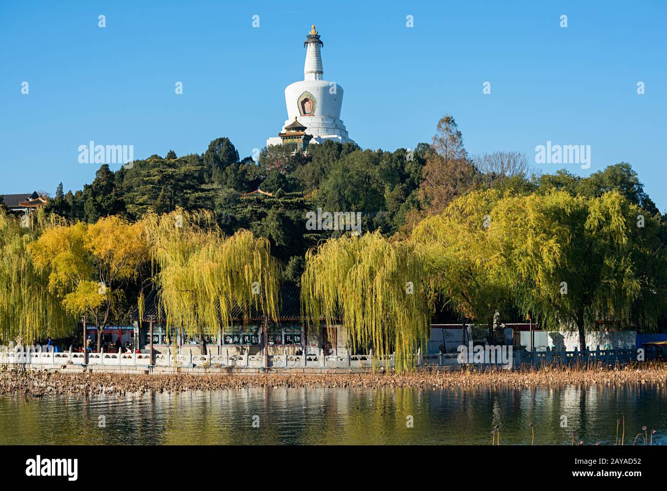 Parco reale Beihai di Pechino in autunno Foto Stock Parco reale Beihai di Pechino in autunno Foto Stock