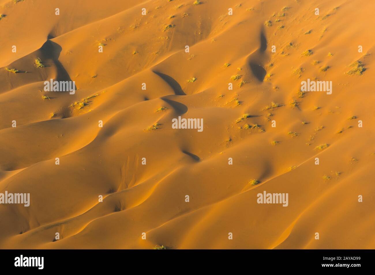 Dettaglio di un modello di dune di sabbia rosa nella zona di Sossusvlei, Parco Nazionale Namib-Naukluft in Namibia. Foto Stock