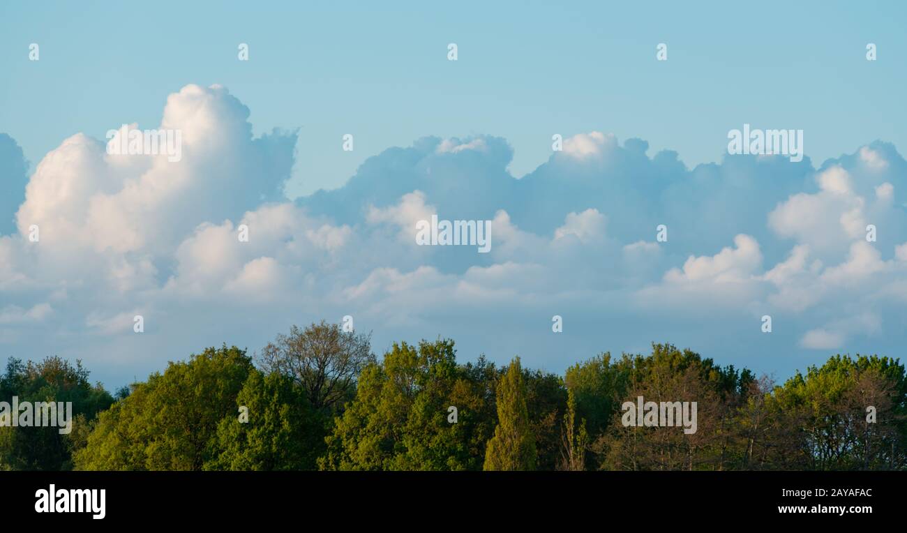 nuvole pioggia si raccolgono nel cielo Foto Stock