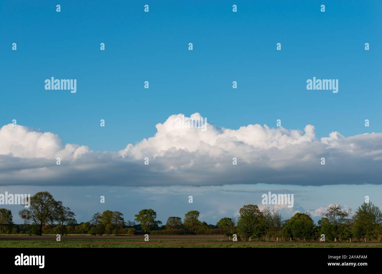 Grandi nuvole pioggia si raccolgono nel cielo Foto Stock