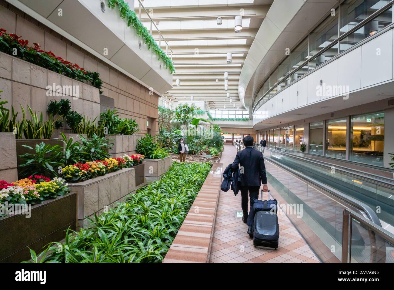 Tokyo, Giappone - Febbraio 2020 : Architettura Interna Dell'Aeroporto Internazionale Di Tokyo Haneda. L'aeroporto di Tokyo Haneda è uno degli aeroporti più trafficati del mondo Foto Stock