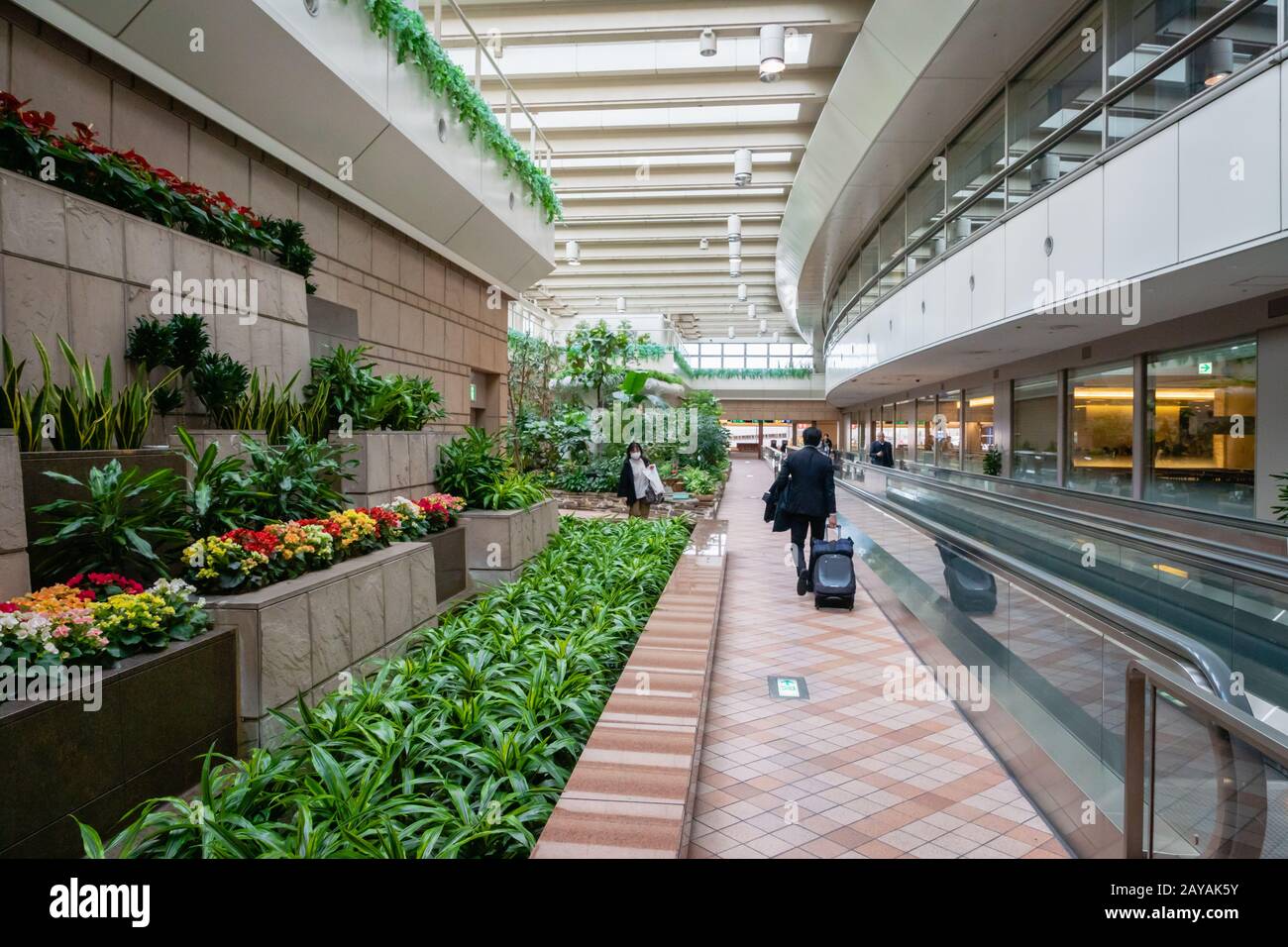 Tokyo, Giappone - Febbraio 2020 : Architettura Interna Dell'Aeroporto Internazionale Di Tokyo Haneda. L'aeroporto di Tokyo Haneda è uno degli aeroporti più trafficati del mondo Foto Stock