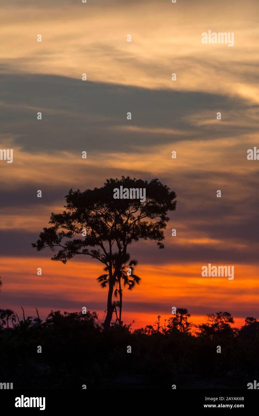Tramonto sulla zona delle pianure di Gomoti, una concessione a gestione comunitaria, sul bordo del sistema fluviale di Gomoti a sud-est del Delta di Okavango, Botswana. Foto Stock