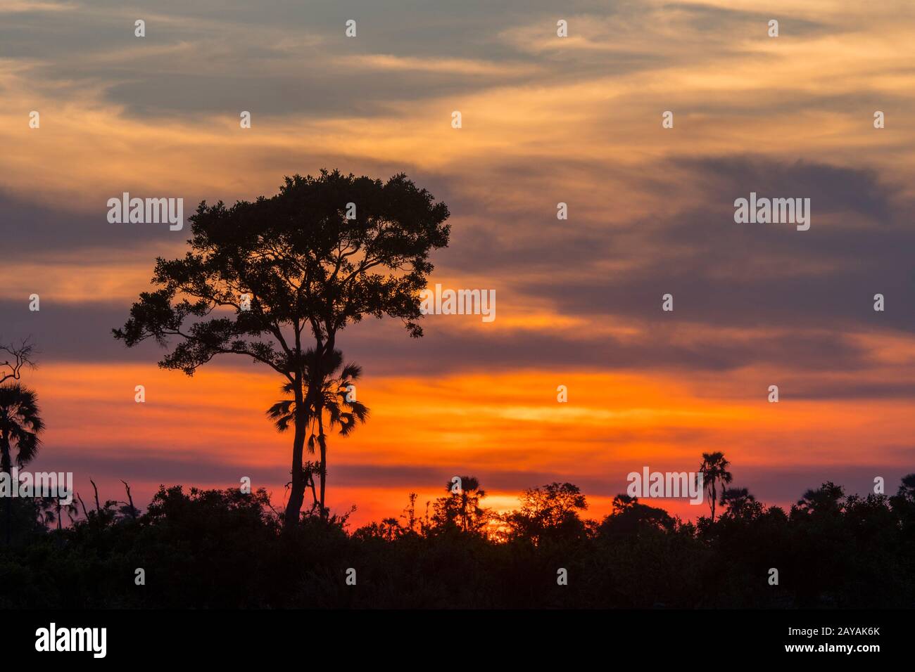 Tramonto sulla zona delle pianure di Gomoti, una concessione a gestione comunitaria, sul bordo del sistema fluviale di Gomoti a sud-est del Delta di Okavango, Botswana. Foto Stock