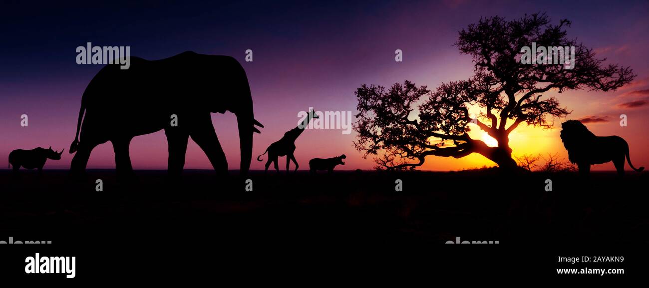 Famoso animali africani sunset silhouette. Viaggi, natura e ambiente concetto. Foto Stock