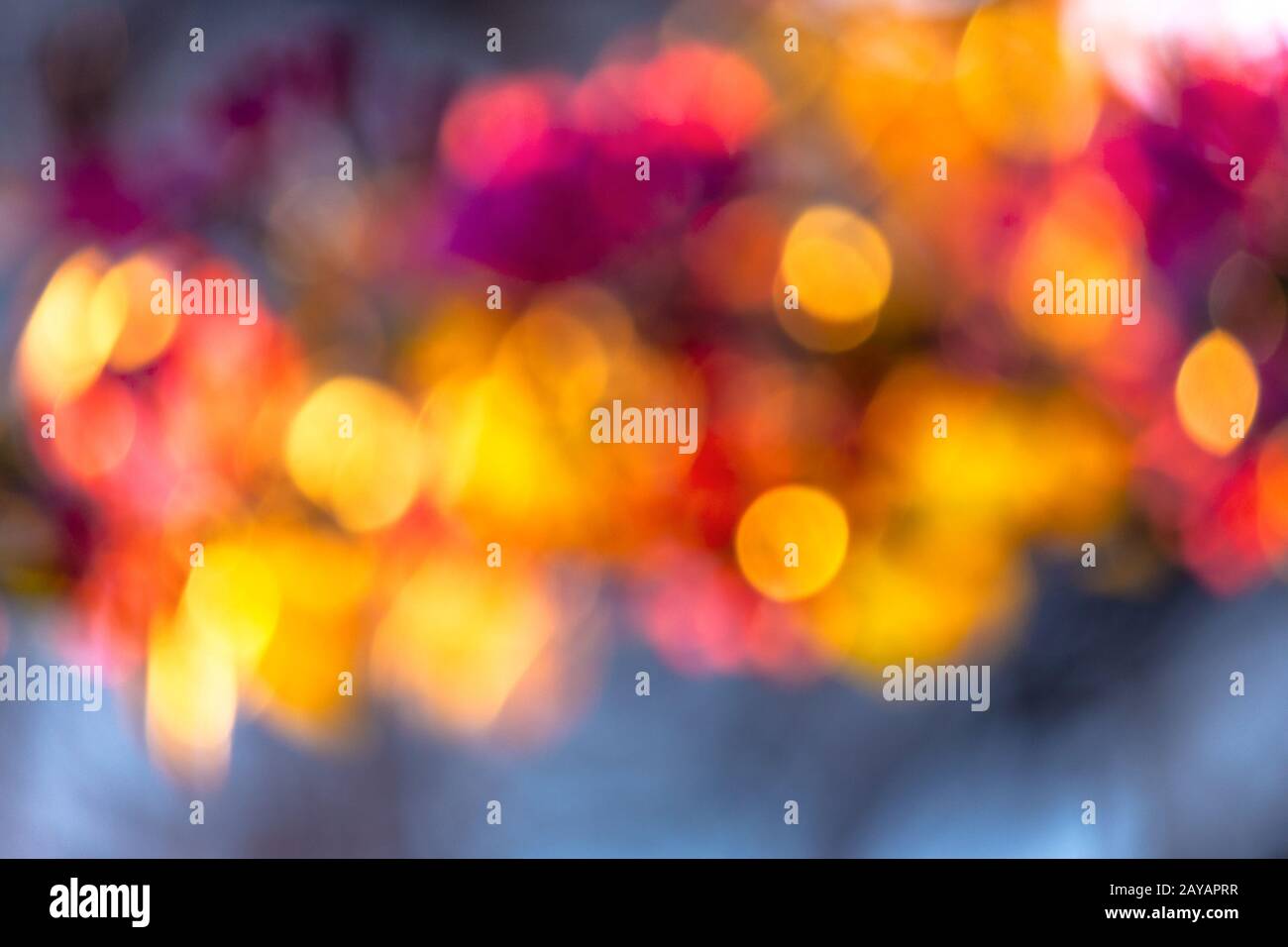 Natura astratta blur. bokeh di fiori e fogliame in primavera. luminoso sfondo retroilluminato Foto Stock