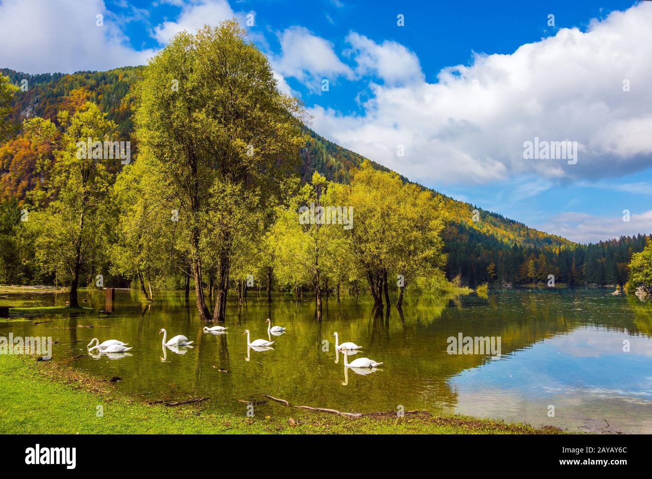 Lago di Fusine Foto Stock