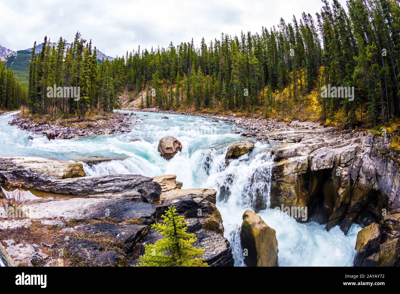 Viaggio in autunno Foto Stock
