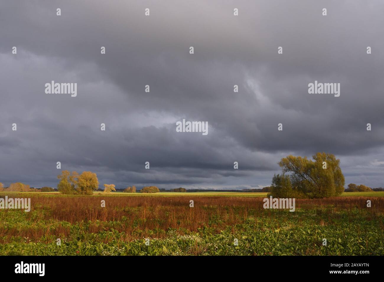 Atmosfera tempesta in autunno Foto Stock