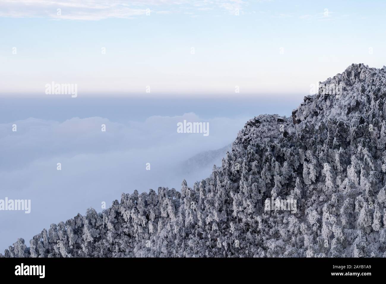 Foresta di inverno in montagna Foto Stock