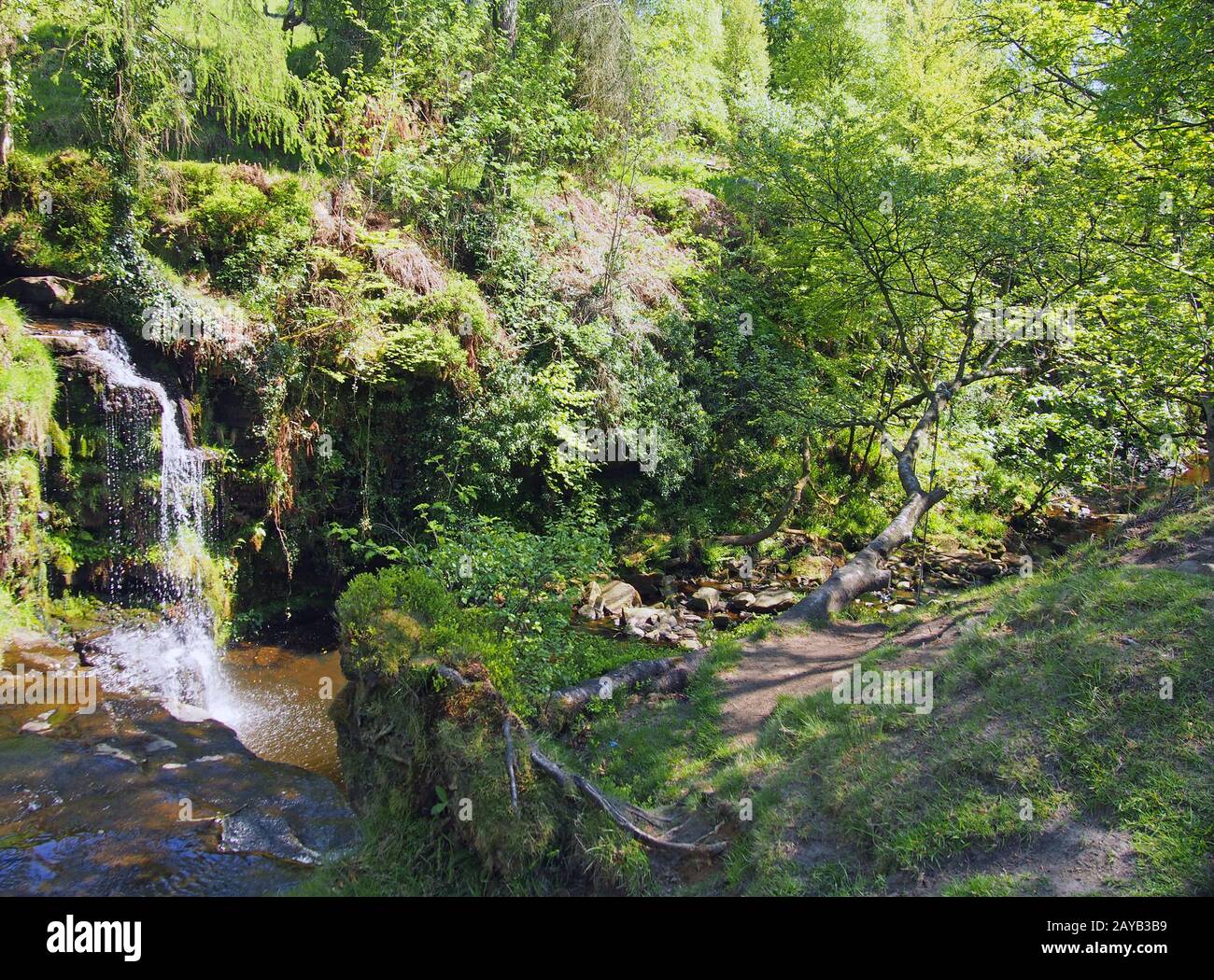 buca di lumb cade una cascata nel bosco a cimsworth dean vicino al pozzo di pecket in calderdale west yorkshire Foto Stock