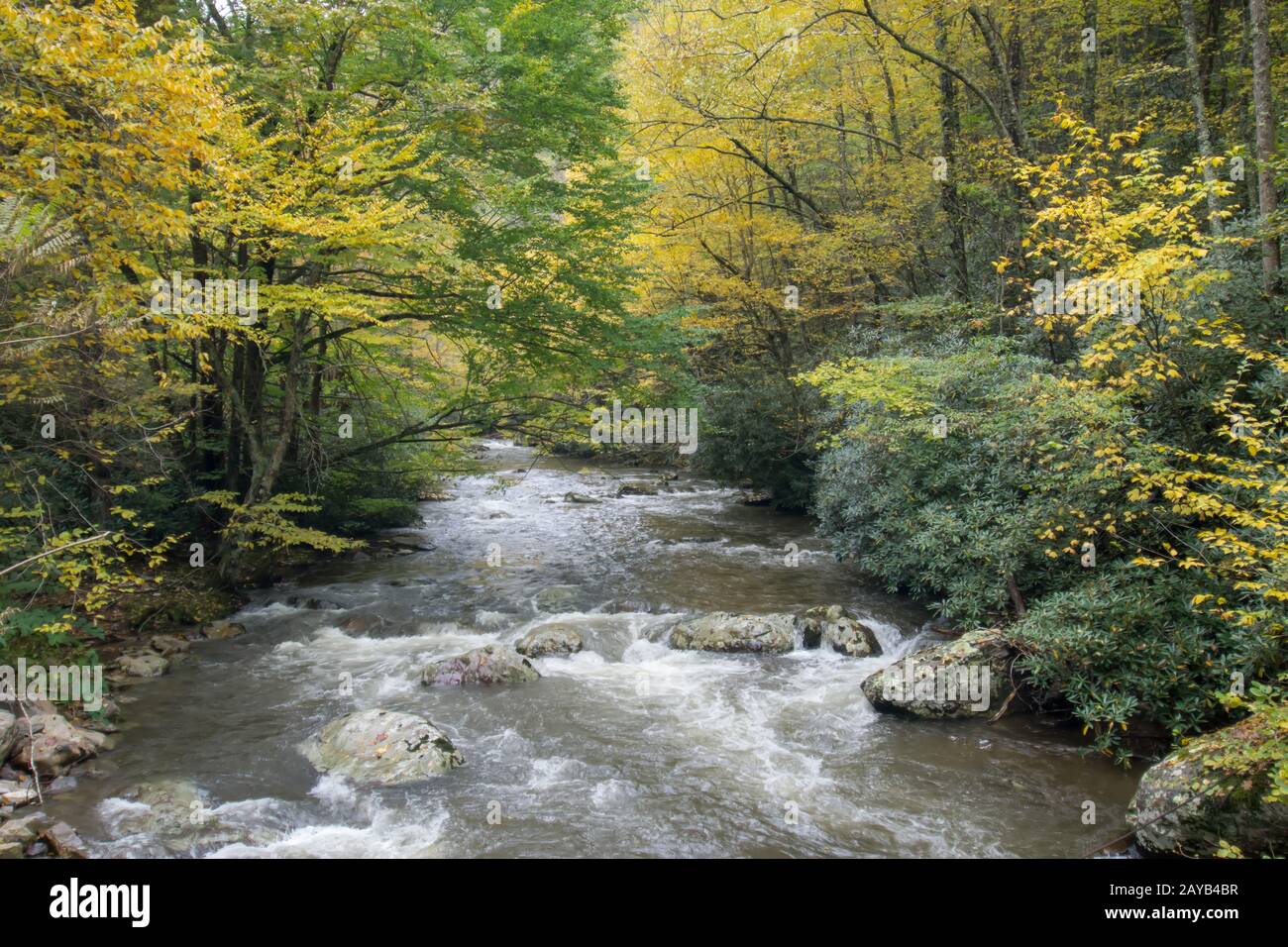 paesaggio pittoresco dal percorso del superriduttore della virginia in autunno Foto Stock