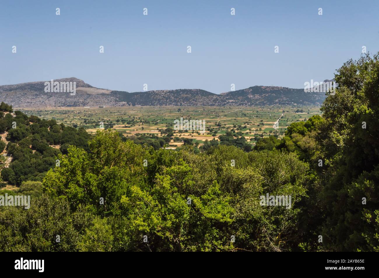 Vista del fertile altopiano di Lassithi nella creta. Foto Stock