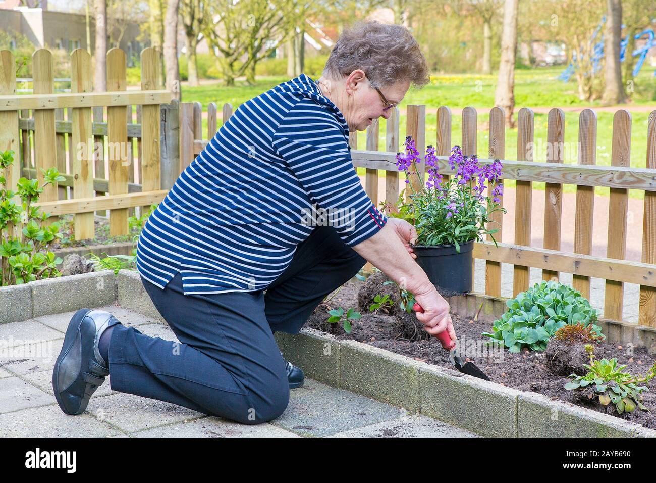 Donna caucasica senior piantando vaso pianta in giardino Foto Stock