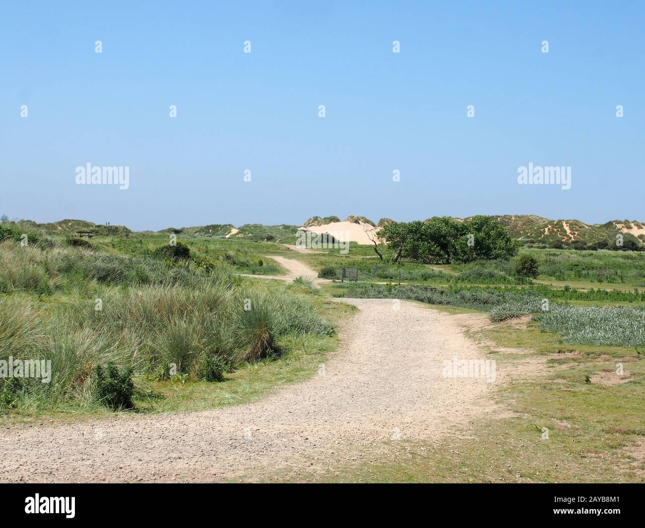 un percorso tortuoso attraverso dune di sabbia e erba sulla costa merseyside vicino formby Foto Stock