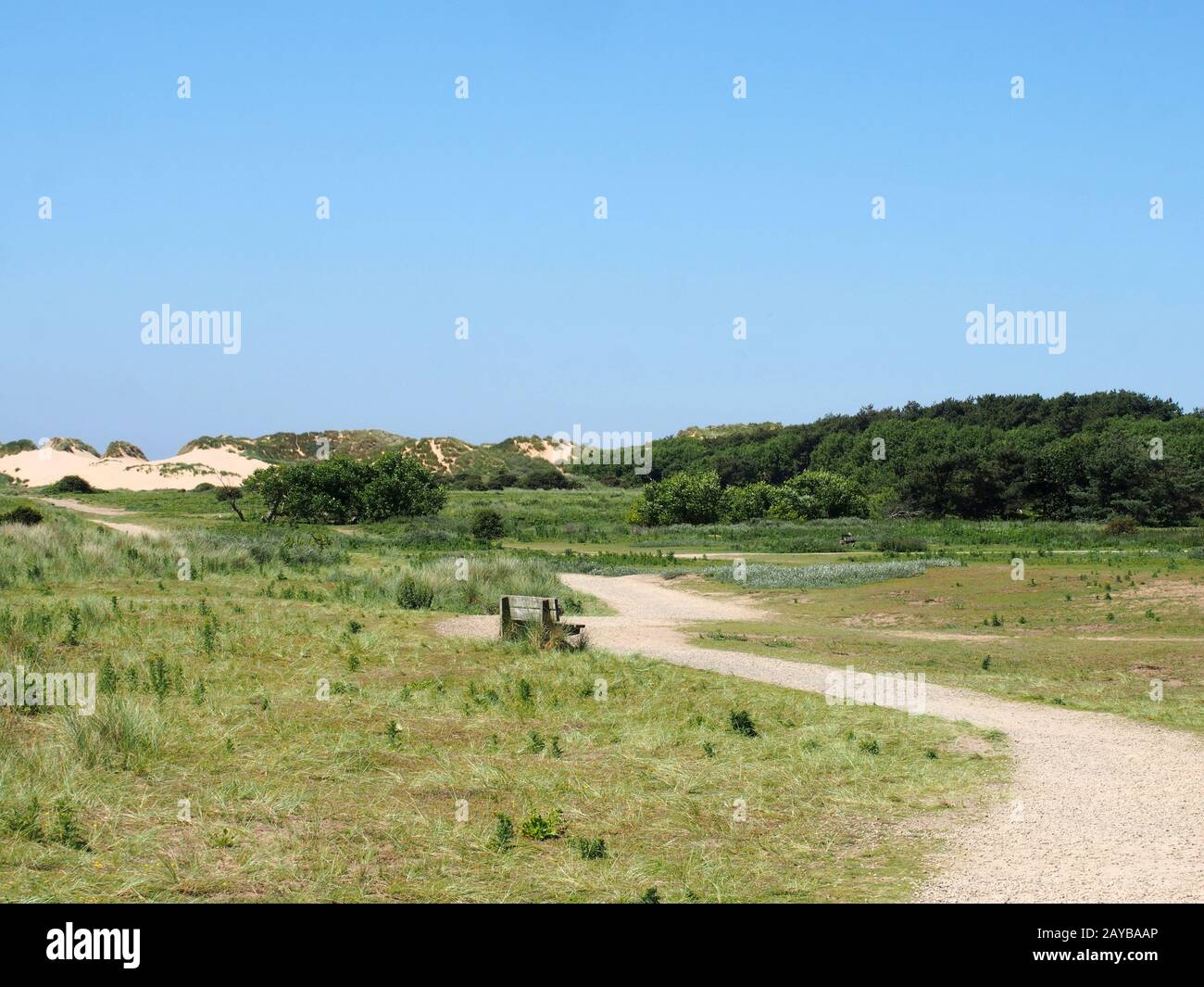 un percorso tortuoso per dune di sabbia e erba sulla costa merseyside vicino formby con una panca a metà distanza e blu estate s Foto Stock