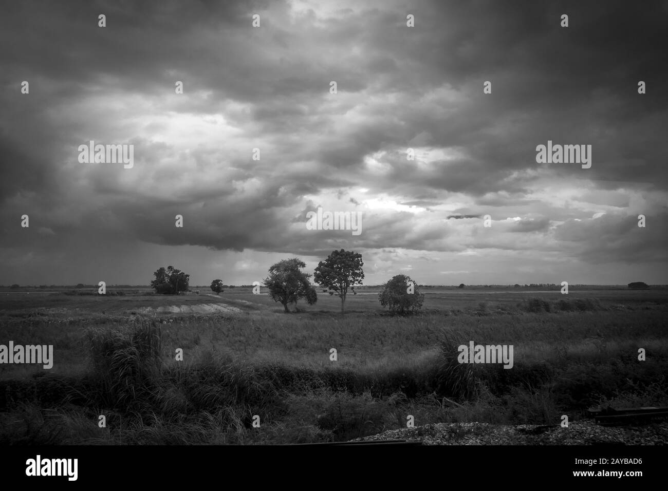 Campo nella tempesta, Chiang mai, Thailandia Foto Stock