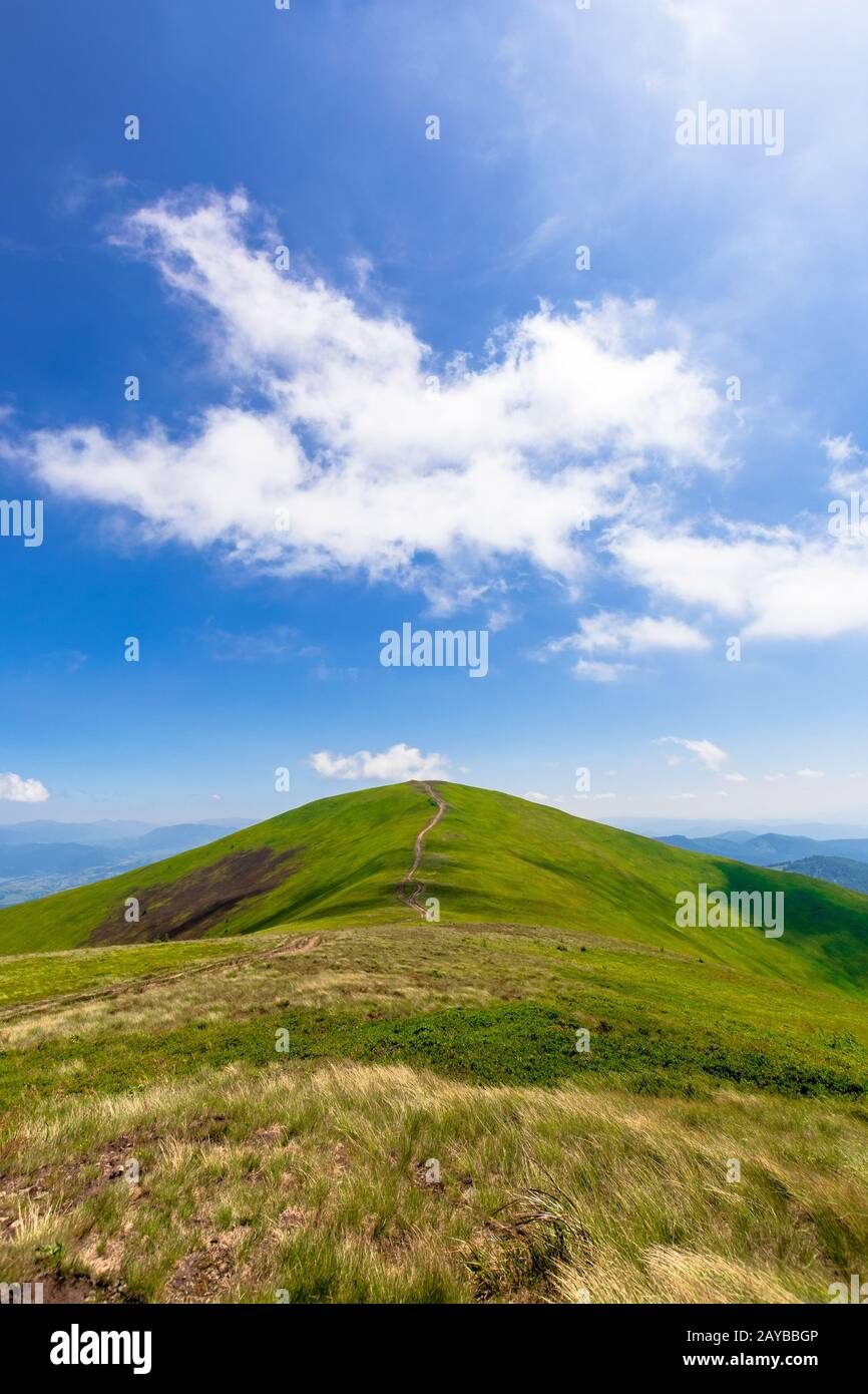 verdi colline ondulate di crinale di montagna borzhava. prati alpini erbosi sotto un cielo blu con alcune nuvole. bellissimo paesaggio estivo di carpazi hi Foto Stock