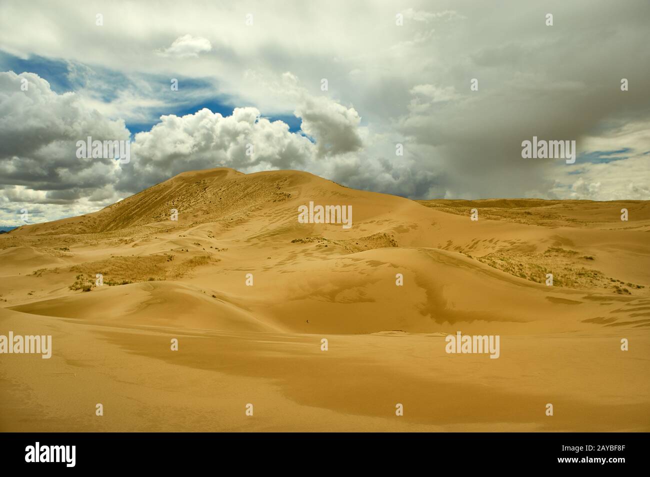 Mongolia. Sands Mongol Els, deserto di dune sabbiose, Foto Stock