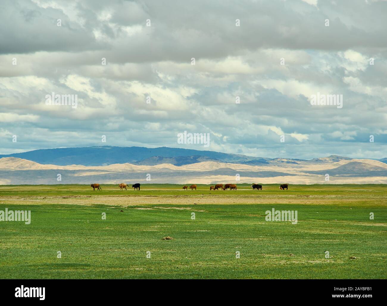 Sands Mongol Els Foto Stock