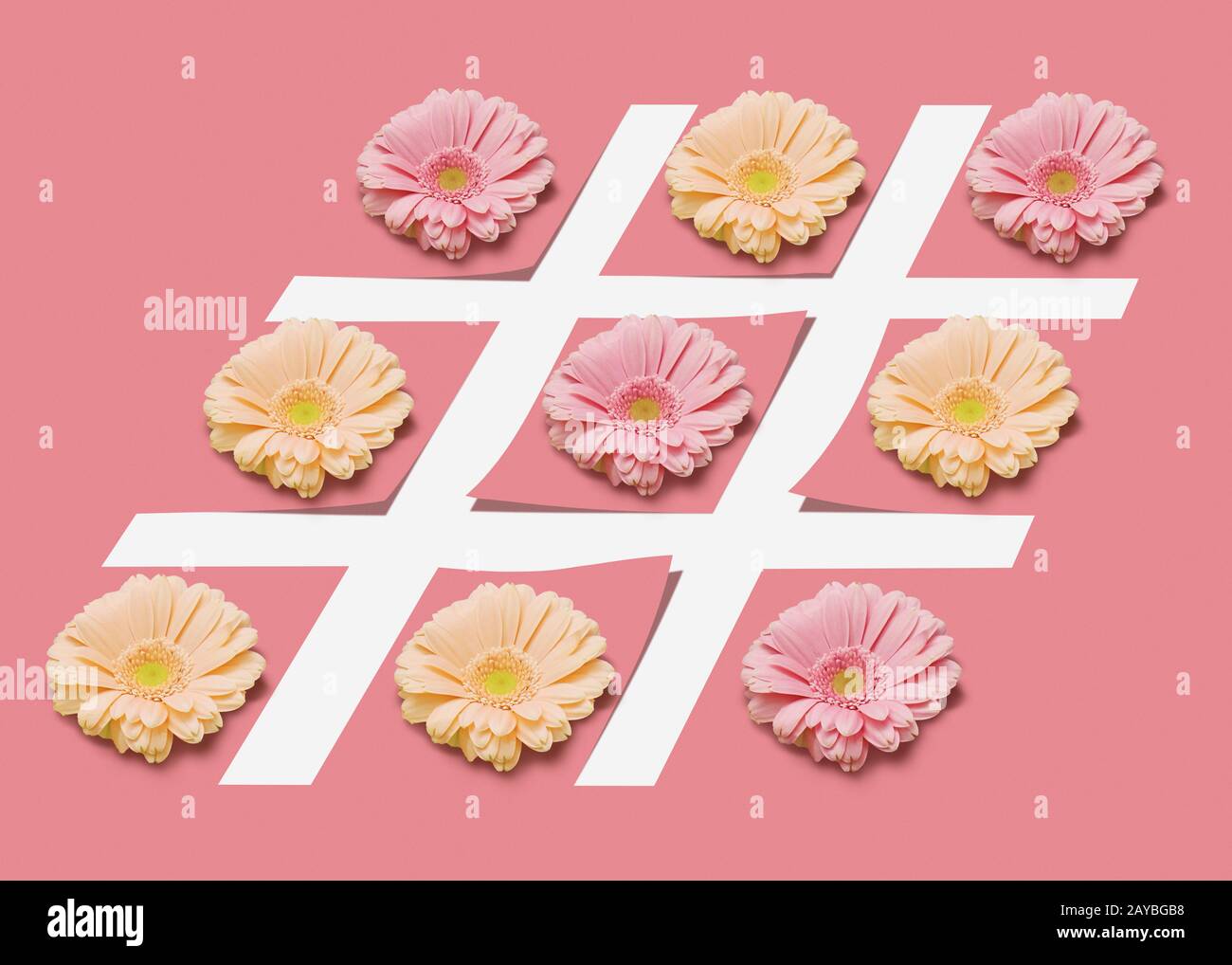 Hash tag segno con fiori su uno sfondo rosa pastello. Foto Stock