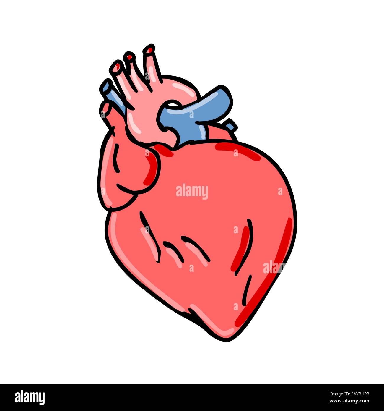 Cuore umano Cartoon Foto Stock