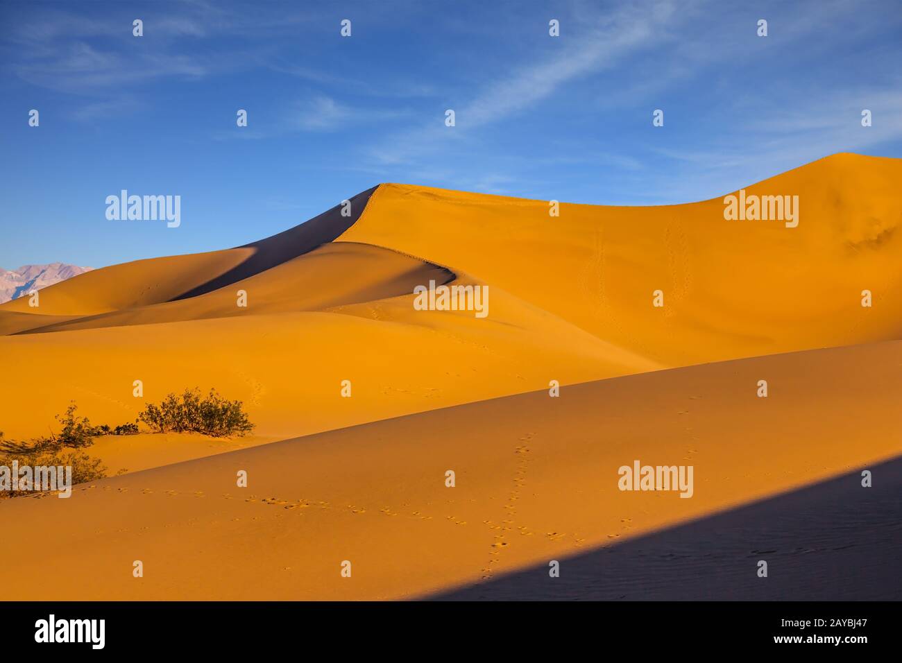 Le morbide curve di dune di sabbia Foto Stock