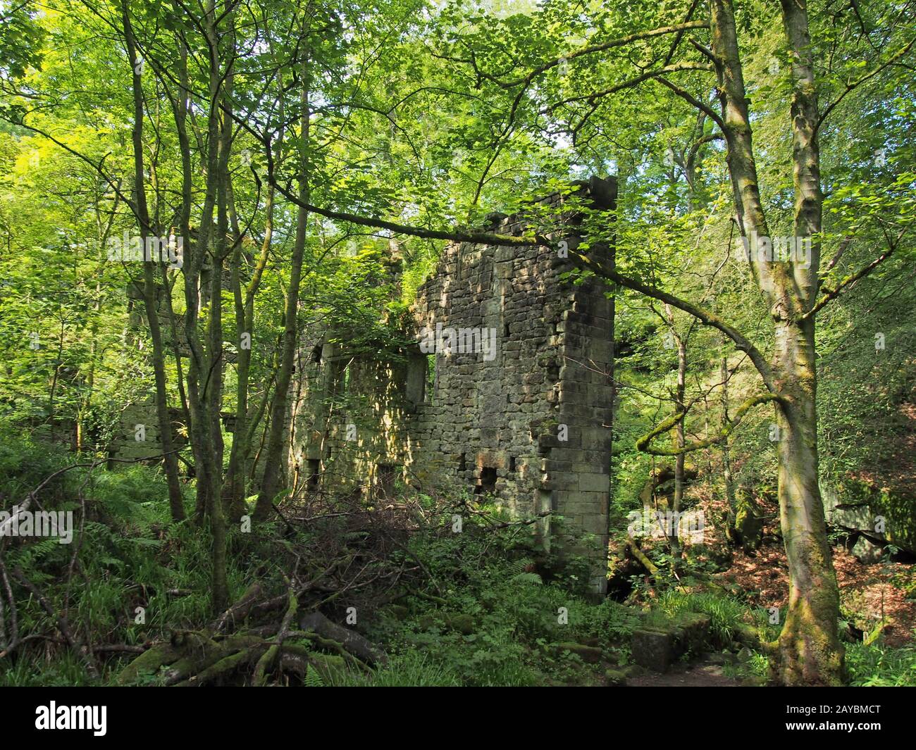 un edificio di mulino in rovina circondato da alberi in verde foresta paesaggio in jumble hole clough nel west yorkshire Foto Stock