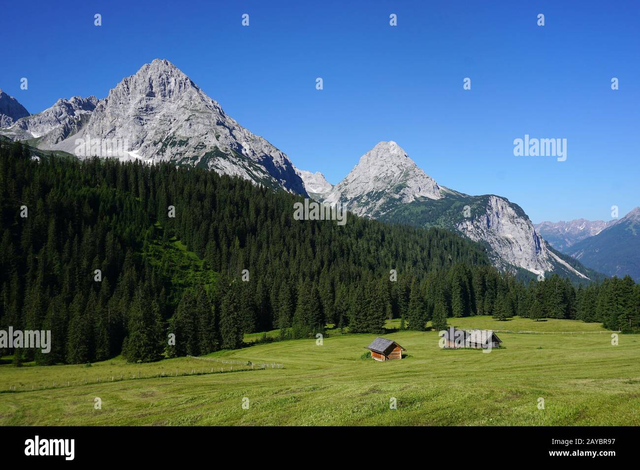 Austria, alpi, montagne Mieminger, Ehrwalder alp Foto Stock