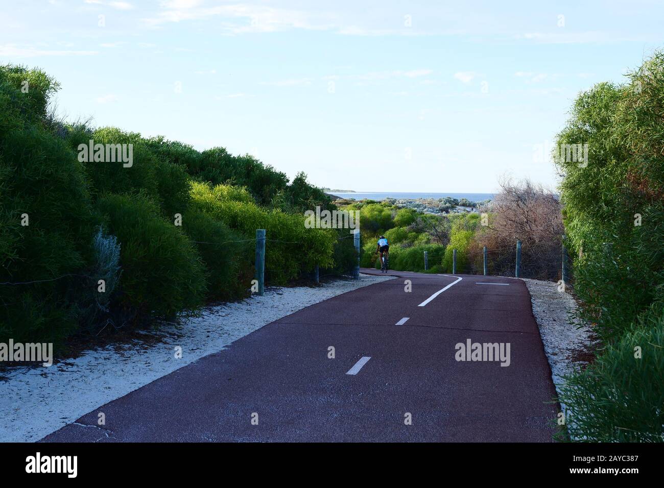 Percorso ciclabile e pedonale visto lungo il costo di Perth, Australia Occidentale, Foto Stock