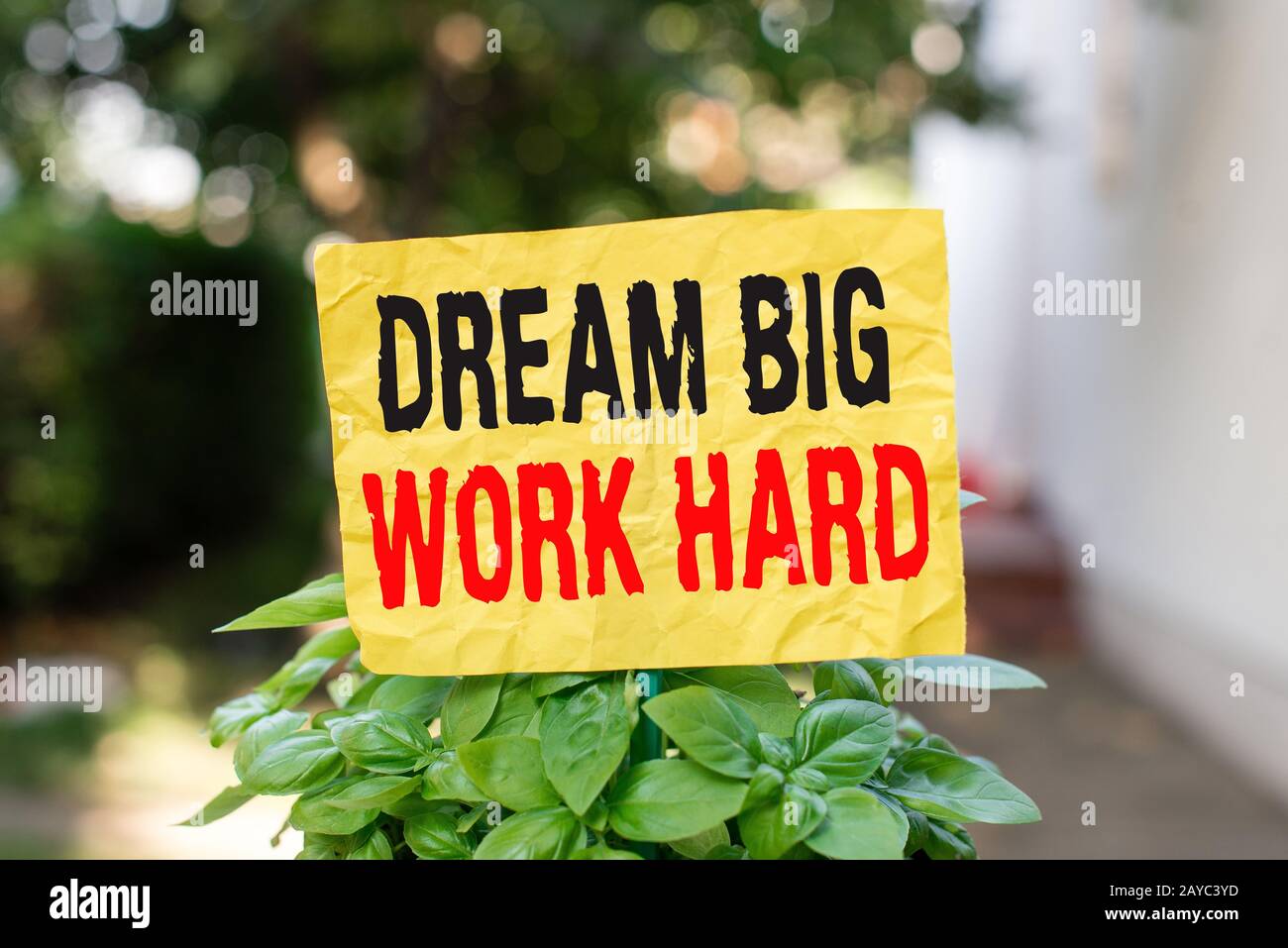 Testo di scrittura di parole Dream Big Work Hard. Concetto di affari per credere in lei e seguire i sogni e gli obiettivi Pape vuoto normale Foto Stock