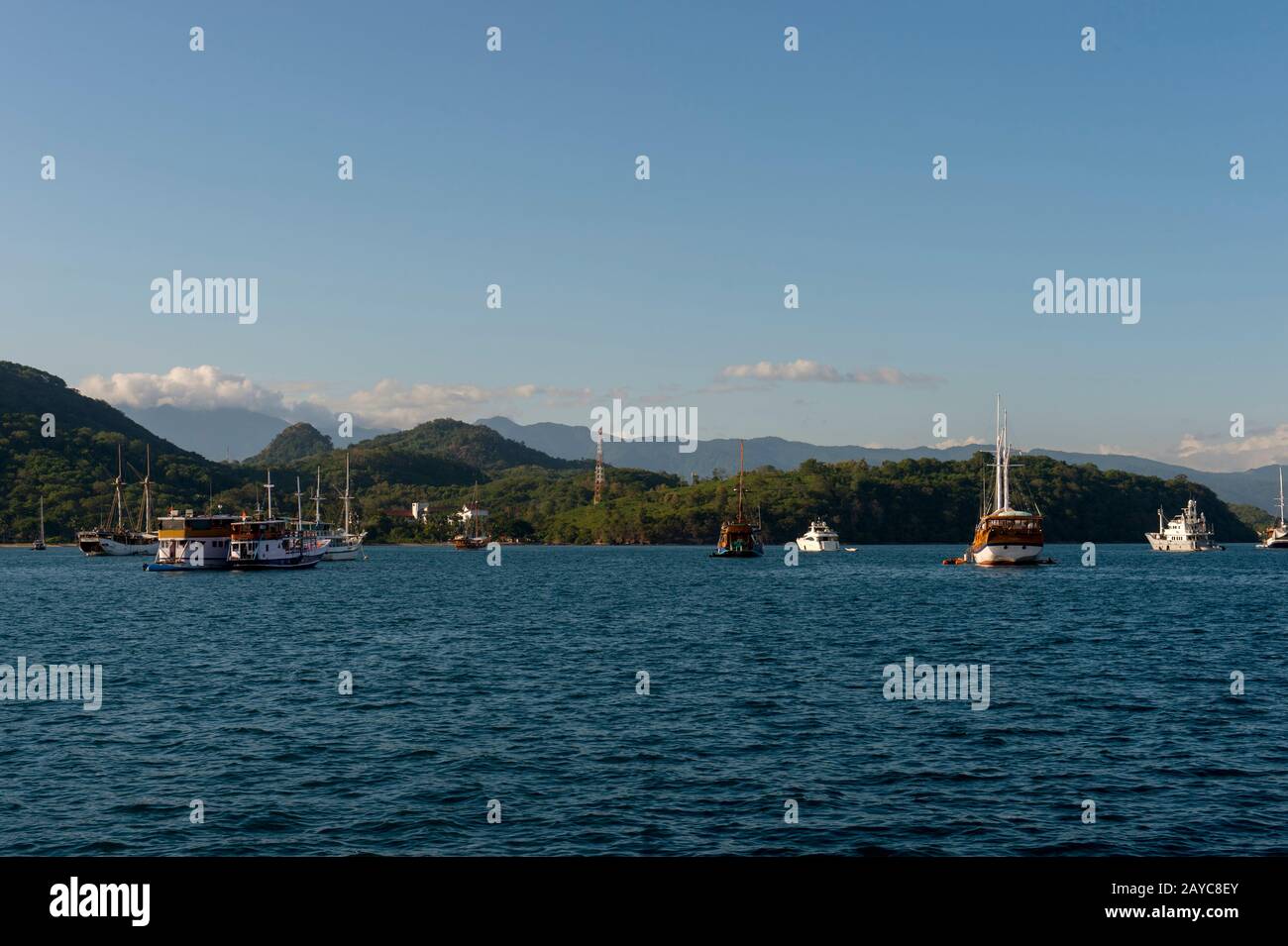 Barche, per lo più barche da escursione per turisti, nel porto di Labuan Bajo, una città di pesca situata all'estremità occidentale della grande isola di Flores nel Foto Stock