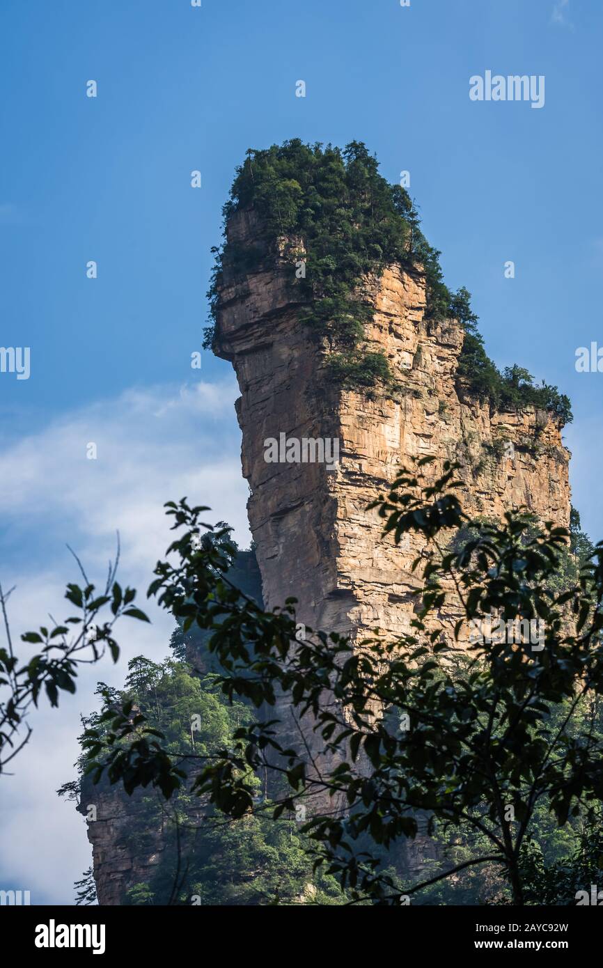 Pilastro in pietra sulle montagne Zhangjiajie Tianzi Foto Stock