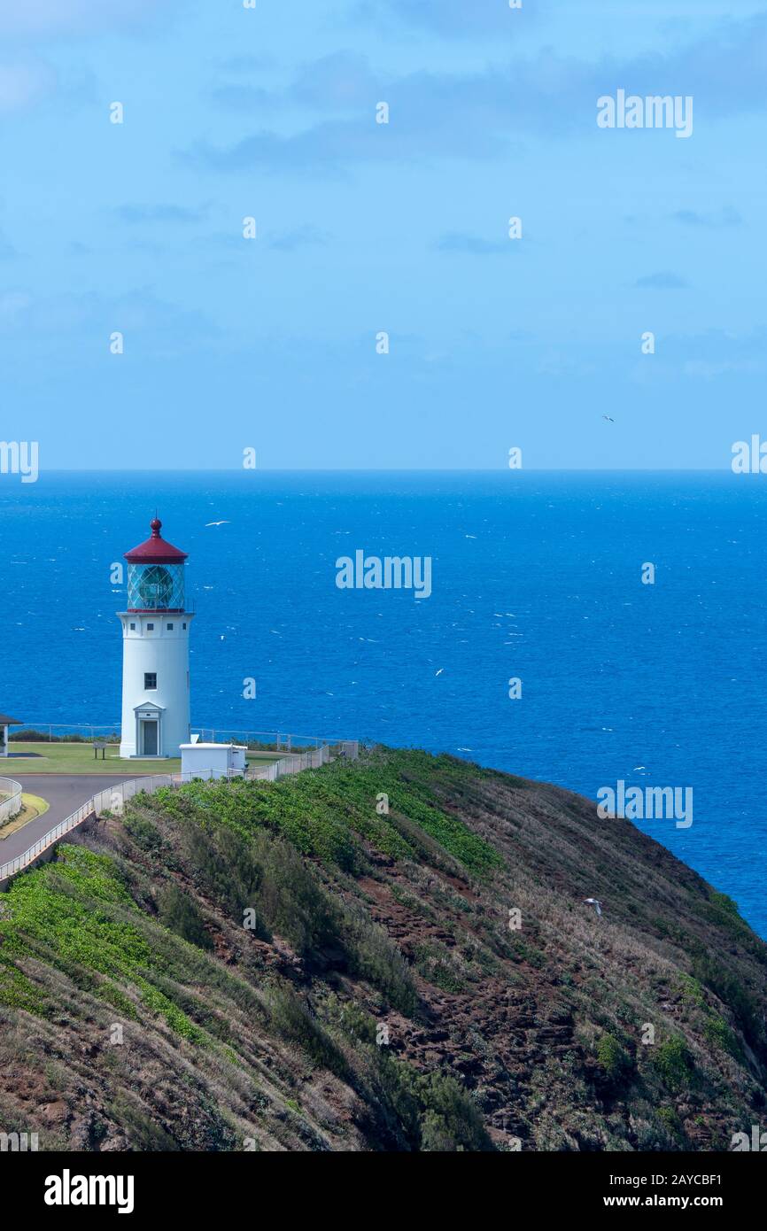 Vista dello storico faro di Kilauea (Registro Nazionale dei luoghi storici), costruito nel 1913, presso il Kilauea Point National Wildlife Refuge sul ha Foto Stock