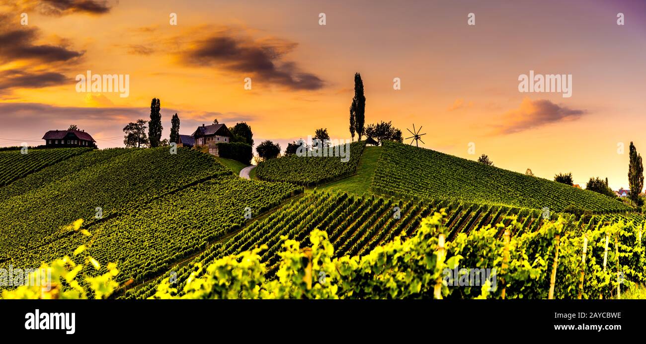 Austria, sud stiria destinazione di viaggio. Luogo turistico per gli amanti della vite Foto Stock