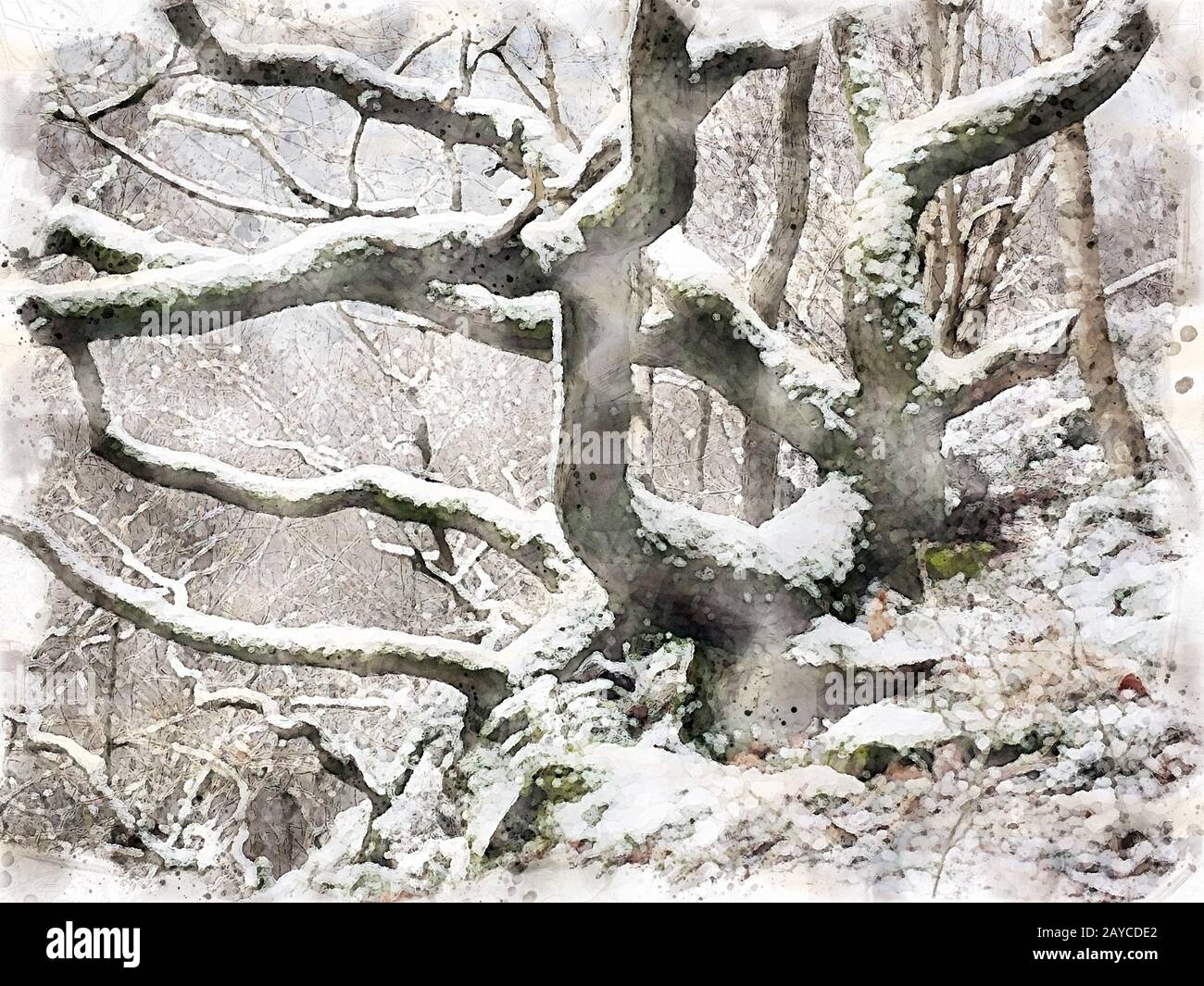 pittura acquerello di neve che copre alberi e rami torti invernali in una foresta collinare Foto Stock