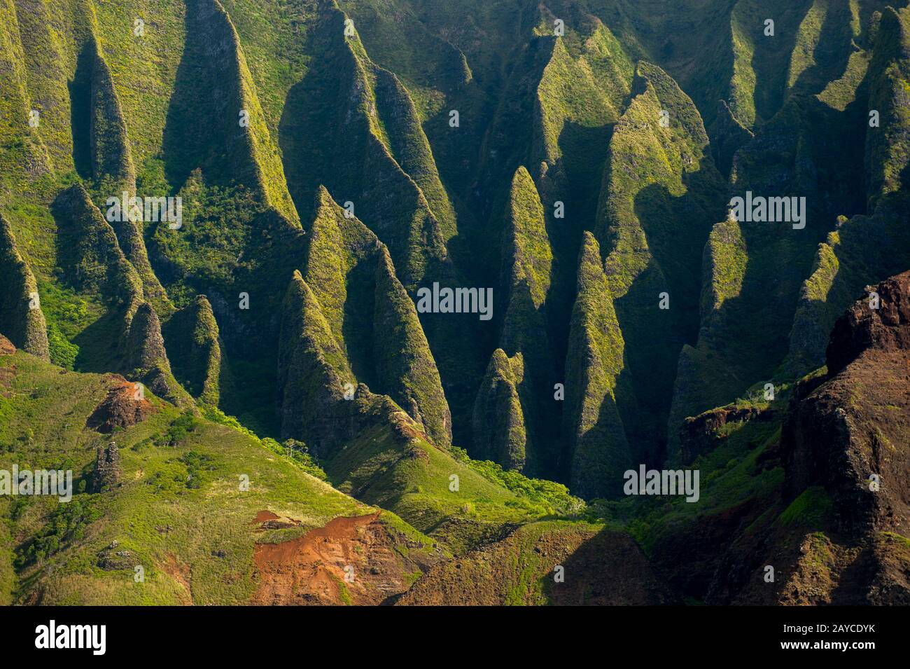 Vista da un'escursione in barca della costa di Na Pali sul lato occidentale dell'Isola Hawaiiana di Kauai, Hawaii, USA. Foto Stock