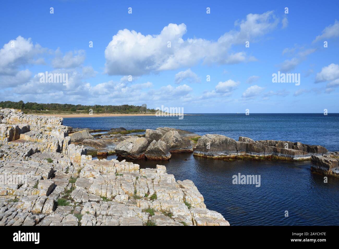 Costa di Skåne nel Mar Baltico in Svezia Foto Stock