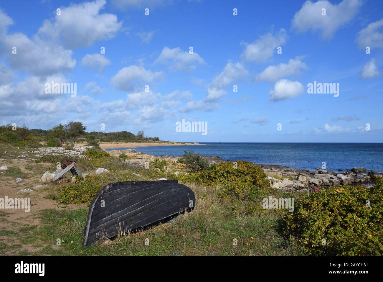 Costa di Skåne nel Mar Baltico in Svezia Foto Stock